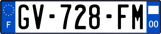 GV-728-FM