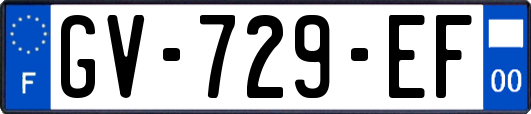 GV-729-EF