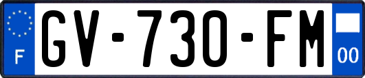 GV-730-FM