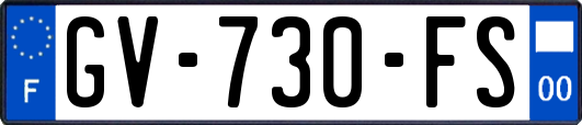 GV-730-FS