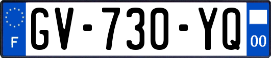 GV-730-YQ