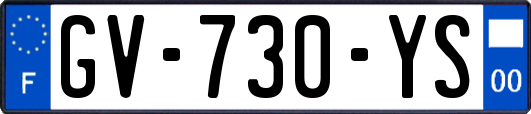 GV-730-YS