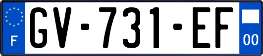 GV-731-EF