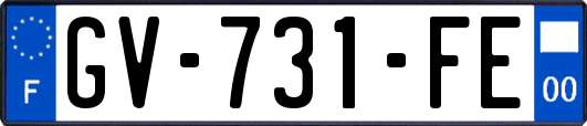 GV-731-FE