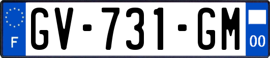 GV-731-GM