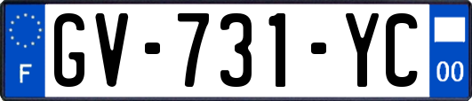 GV-731-YC