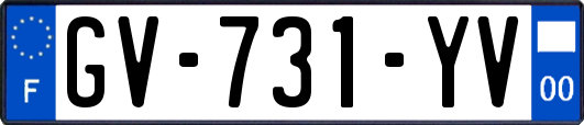 GV-731-YV