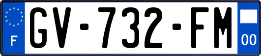 GV-732-FM