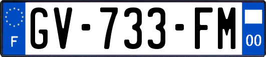 GV-733-FM