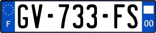 GV-733-FS