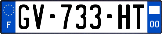 GV-733-HT
