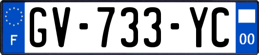 GV-733-YC
