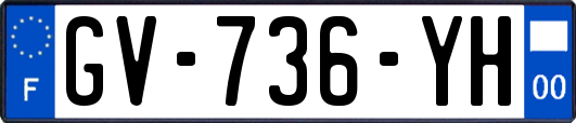 GV-736-YH