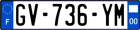 GV-736-YM