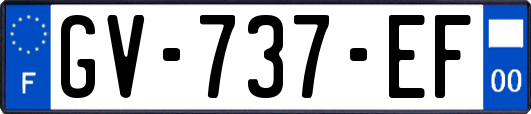 GV-737-EF