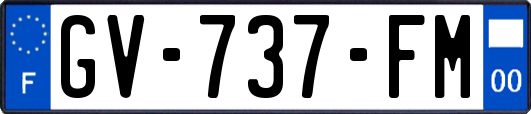 GV-737-FM