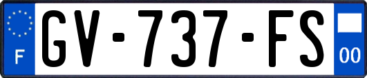 GV-737-FS