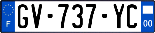 GV-737-YC