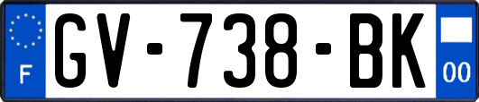 GV-738-BK