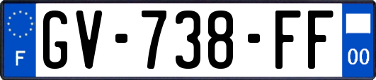 GV-738-FF