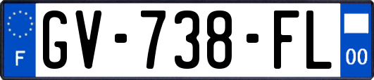 GV-738-FL