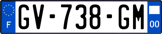 GV-738-GM