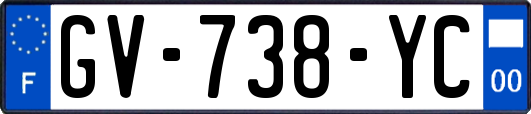 GV-738-YC