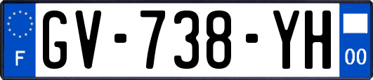 GV-738-YH