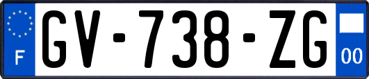 GV-738-ZG