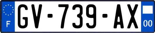 GV-739-AX