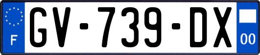 GV-739-DX