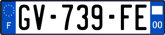 GV-739-FE