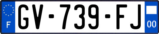 GV-739-FJ