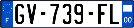 GV-739-FL