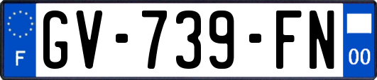 GV-739-FN