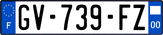 GV-739-FZ
