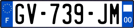 GV-739-JM