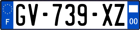 GV-739-XZ
