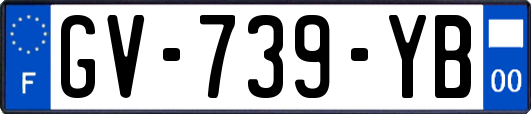 GV-739-YB