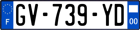 GV-739-YD