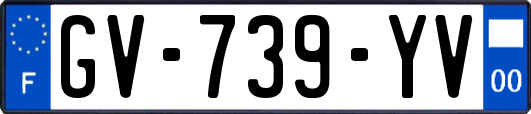 GV-739-YV