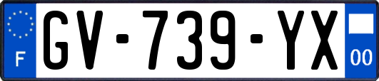 GV-739-YX