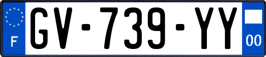 GV-739-YY