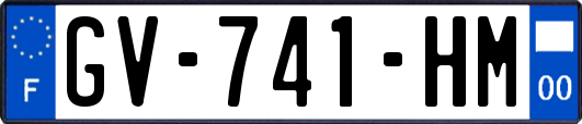 GV-741-HM