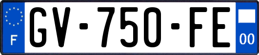 GV-750-FE