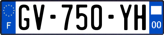 GV-750-YH