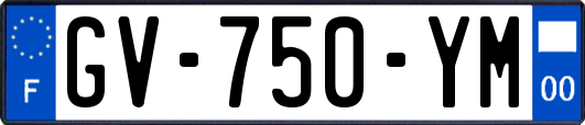 GV-750-YM