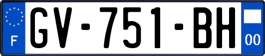 GV-751-BH