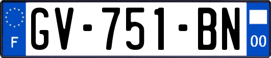 GV-751-BN