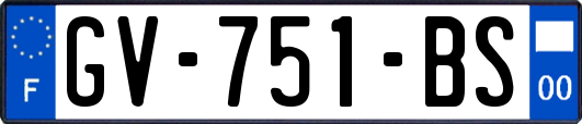 GV-751-BS